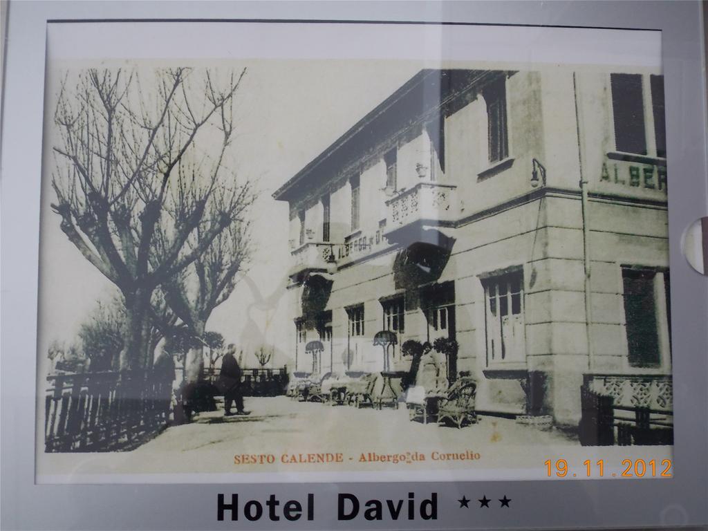 Hotel David Сесто-Календе Екстер'єр фото